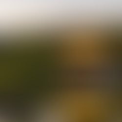 Golf in Japan Among Temples and Tea Gardens