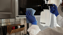 Limpieza y sanitización