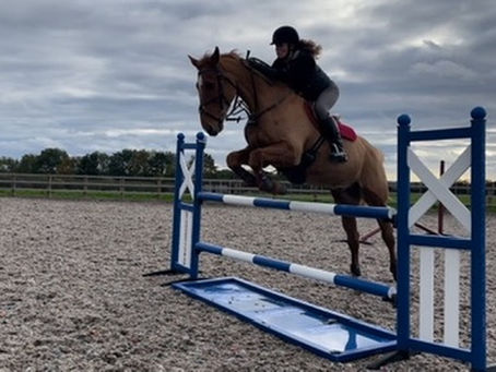 Why I Love Producing Overlooked Sport Horses