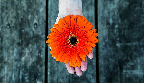 hand-palm-wood-orange-royalty-free-thumb