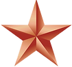 Bronze Star2.png
