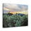 Thumbnail: Teddy Bear Cactus Canvas