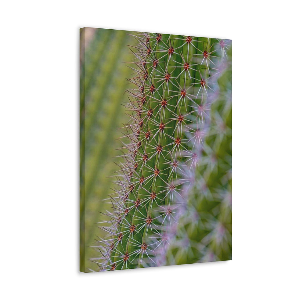 Thumbnail: Up Close and Personal Canvas