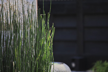 143-FDK20160819-mini.jpg