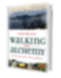 Walking into Alchemy 3D a (1).png