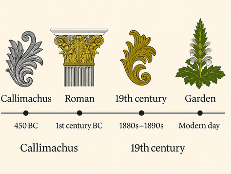 A visual timeline showcasing the evolution of acanthus leaf designs. Four panels represent distinct historical styles: 1. A stylised black-and-white drawing labelled "Callimachus" (circa 450 BCE), referencing the origin of acanthus in Greek architecture. 2. A Corinthian column capital from the Roman era (1st century BCE) with gilded acanthus leaves. 3. A 19th-century decorative green leaf design inspired by Arts & Crafts aesthetics. 4. A realistic photograph of a blooming garden acanthus, with lush green foliage and white flower spikes. A horizontal timeline below marks each period.