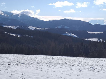 How can one day of walking in the snow be so blissful?