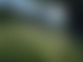 Dew - Chapter 39, 27th August