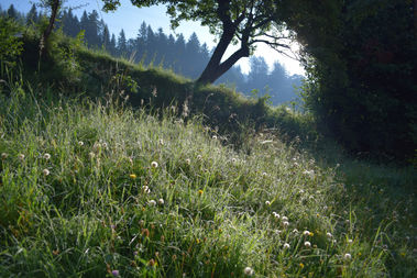 Dew - Chapter 39, 27th August