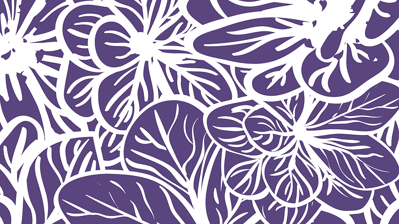 Silkaway.png