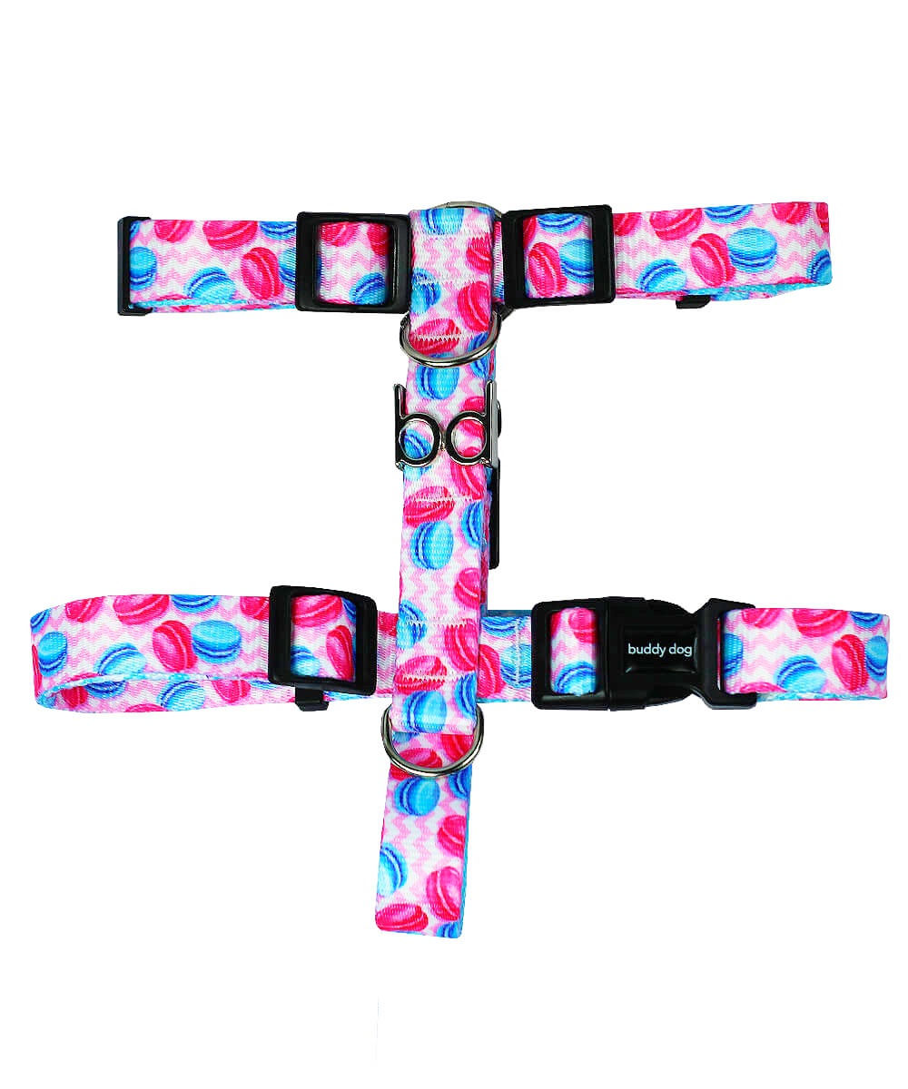 Peitoral H Macaron Buddy Dog