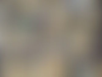 Januar - Es geht wieder los