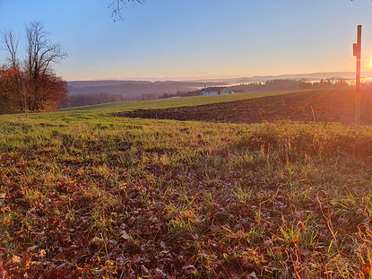 Ausblick auf den Hof von einem Hügel