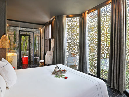 Cactus Suite