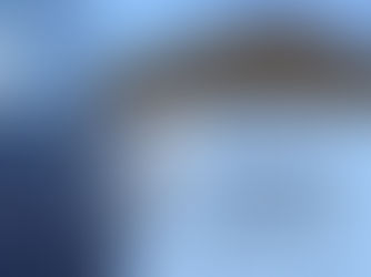 Metal Roofing vs Shingle Roofing: Which is Right for You?