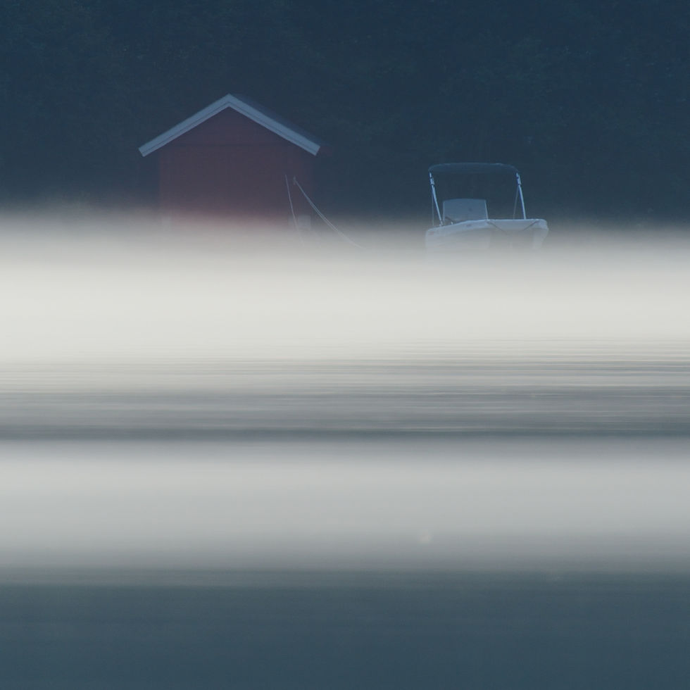 Morning fog