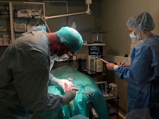 Patellaluksasjon hos hund