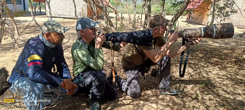 Observación de Aves en Colombia: Un Paraíso para Fotógrafos y Familias