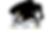 Wix 2.png
