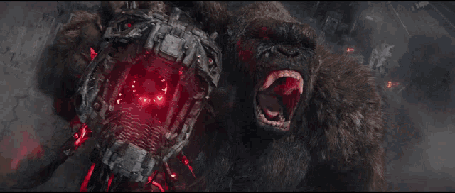 godzilla-vs-kong.gif