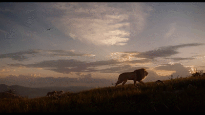 The+Lion+King+by+Disney_1.gif