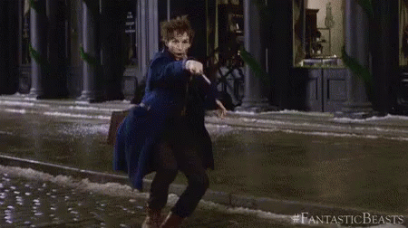 fantastic-beasts-fantastic-beasts-and-where-to-find-them.gif