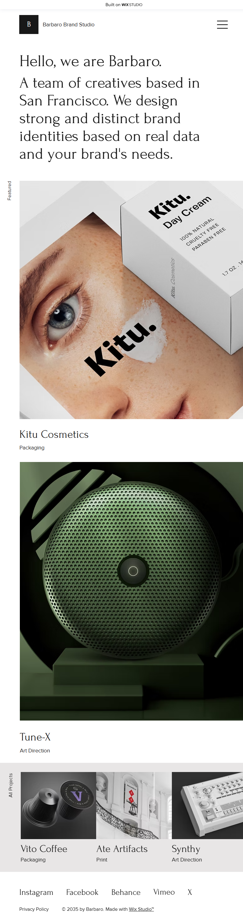 website development project