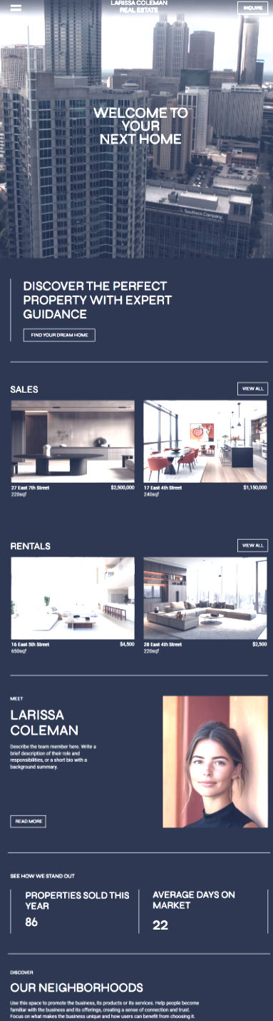 website development project