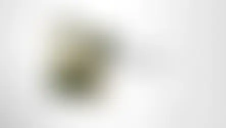 Kualitas Visual Unik pada Kemasan Fleksibel