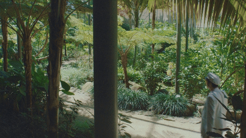 BRILLER_EXTRAIT 4.gif