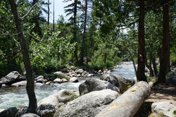 Middle Fork Stanislaus River