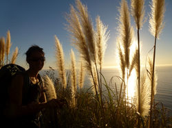 Fin de journée au Timber Mount