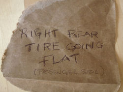 Surprise à la tombée du jour