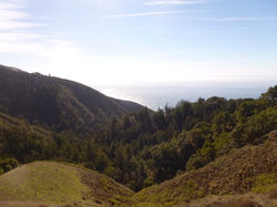 Promenade au Julia Pfeiffer Park