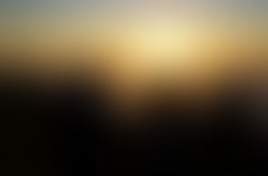 Lancement de la galerie "Visiteurs"