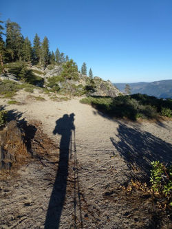 Grand marcheur à grande ombre