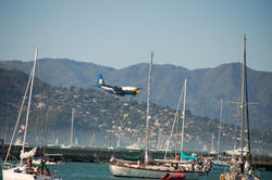 The United States Navy Blue Angels