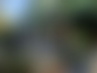 Thinking Big by Thinking Small