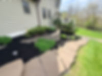 IMG_9186.jpeg