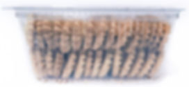 Galleta Polvorosa