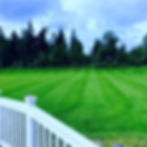 122145492_2644721395839720_8377048397333475274_n_edited_edited.jpg