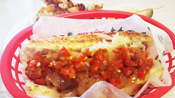 Hali Dog