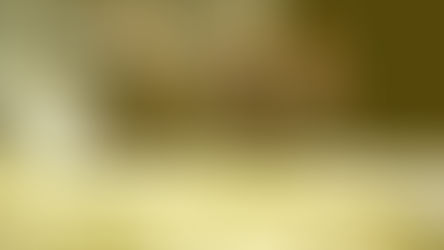 【English News】Foxconn to lower employment goal in Wisconsin under new deal ( 台灣富士康下調威斯康星州就業目標 )