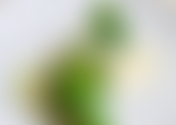 【Taiwan 】Five Taiwan restaurants listed among Asia’s 50 Best Restaurants 2021 ( 榮獲亞洲50大最佳美食餐飲的台灣餐廳 )