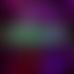 TULUM VIBRARÁ MÁS FUERTE QUE NUNCA: CONOCE A LA PRODUCTORA MEXICANA LOST&NIGHTS