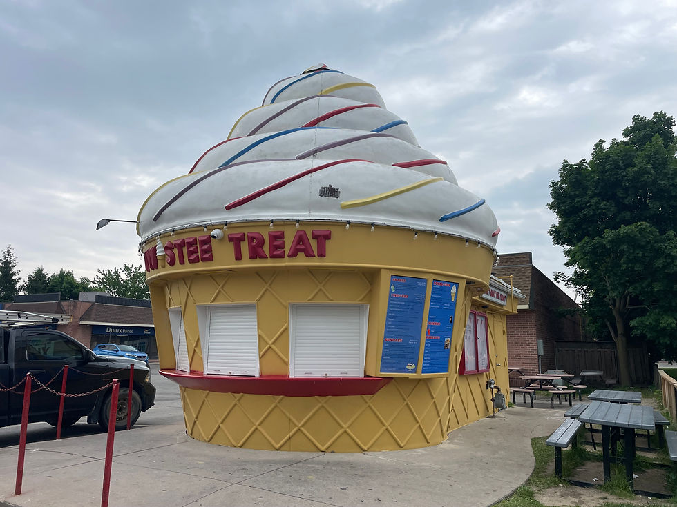 Custom Roller Shutters for ice cream shop in West Lorne Ontario