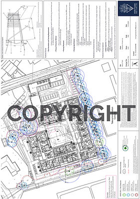 tree protection plan_edited_edited.jpg