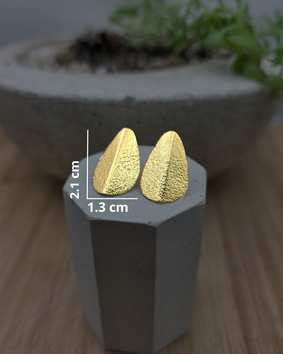 Miniatura: Aretes con baño en oro