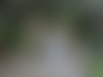 A Word To Our Veterans