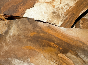 d983f4e0-90b9-4738-8826-d3ab03791096.png